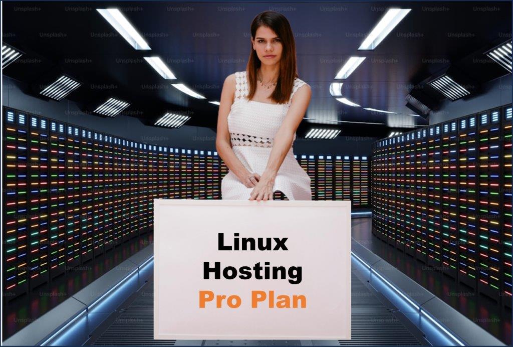 linux hosting windows hosting provider in Des Moines Iowa