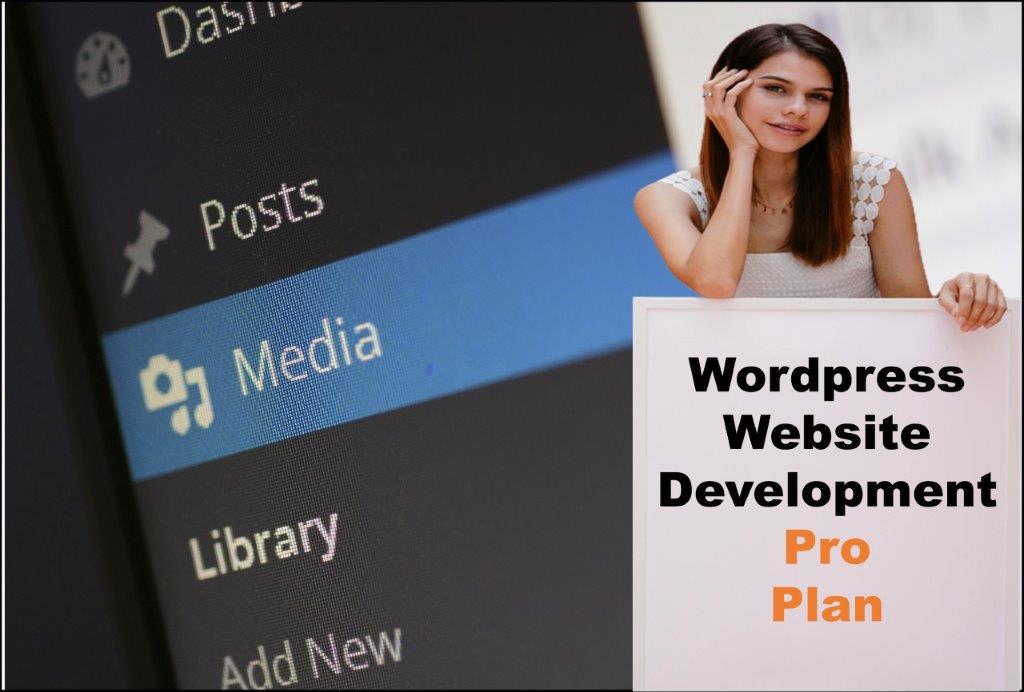 wordpress website designing in Des Moines Iowa